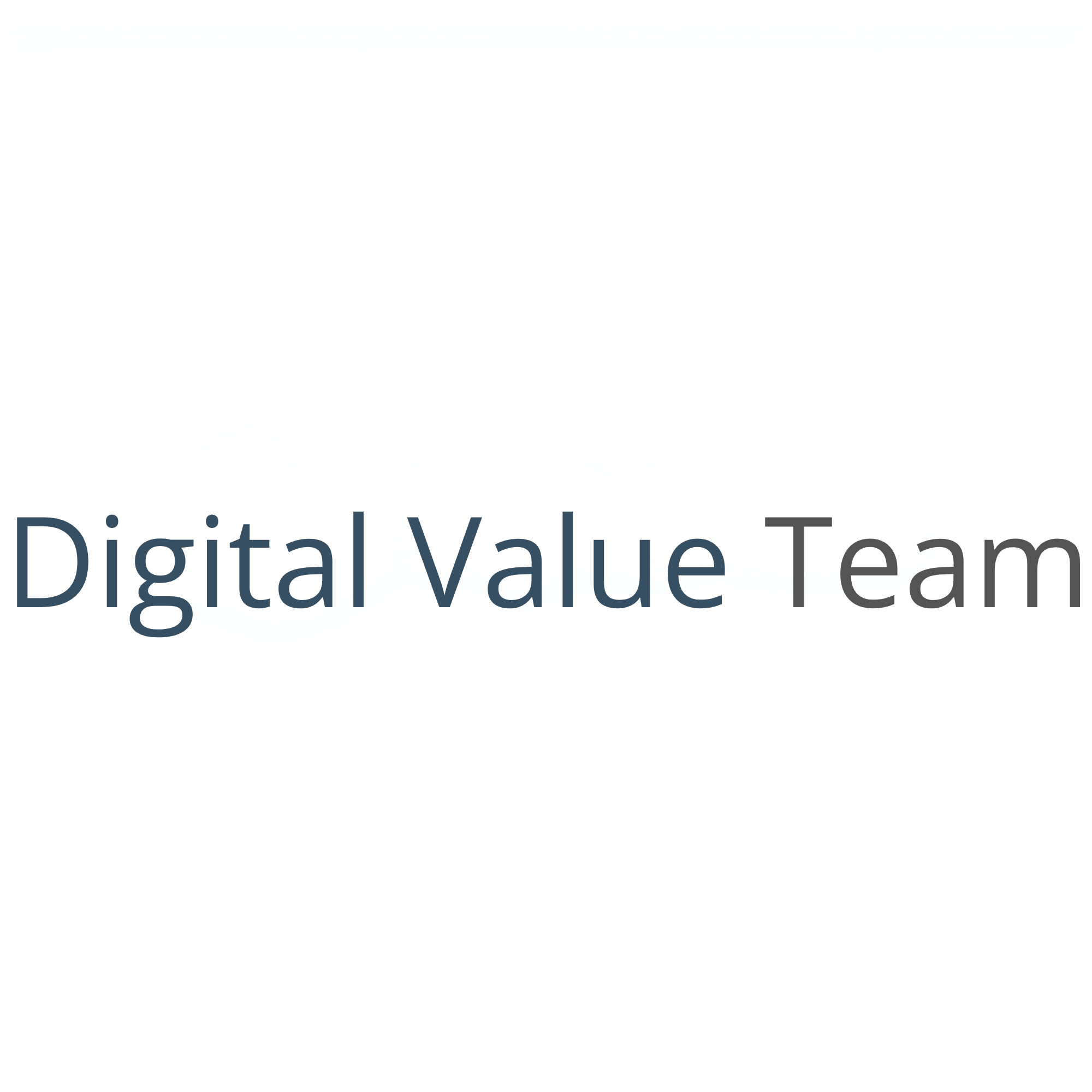 Digital Value Team